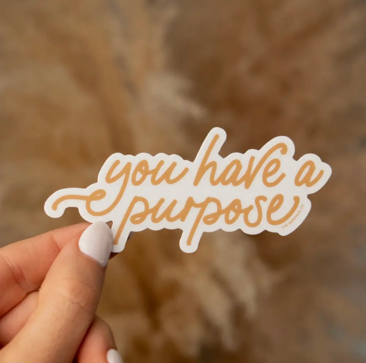 You Have a Purpose Sticker | Christian Encouragement & Faith Reminder Sticker